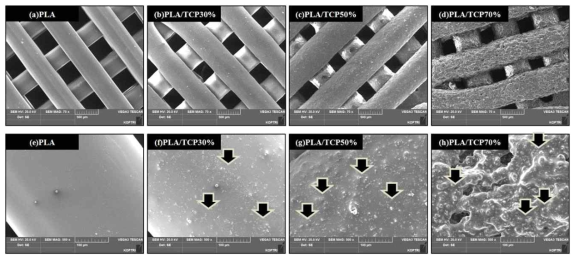 PLA, PLA/TCP30, PLA/TCP50과 PLA/TCP70 스캐폴드의 전자현미경 이미지