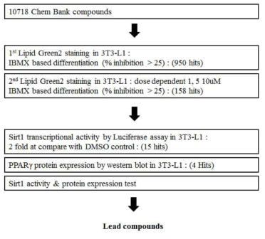 Hit 화합물 선정방법에 대한 모식도