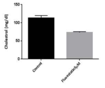 HepG2에 Fluvastatin 5uM처리후 cholesterol assay