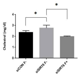 HepG2에 Sirt6 SIRT6 knockdown시킨 후 Fluvastatin 5uM처리 cholesterol assay