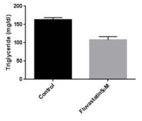 HepG2에 Sirt6 SIRT6 knockdown시킨 후 Fluvastatin 5uM처리 Triglyceride assay