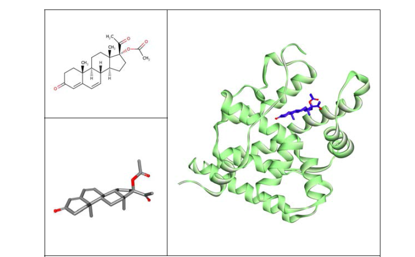 프로게스테론 수용체와 megestrol acetate의 결합모드