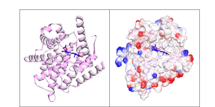 PDE4A와 megestrol acetate의 결합모드