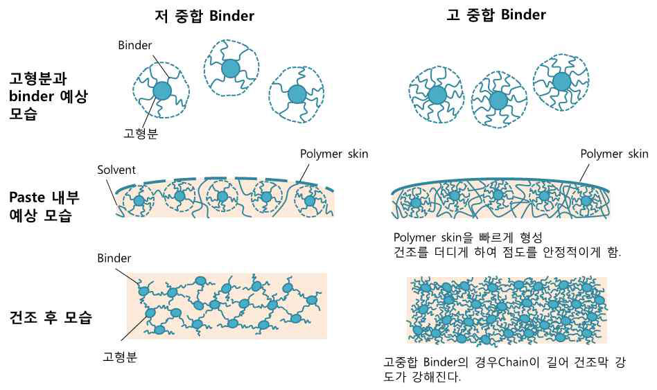 고중합 Binder 사용시 예상 모식도