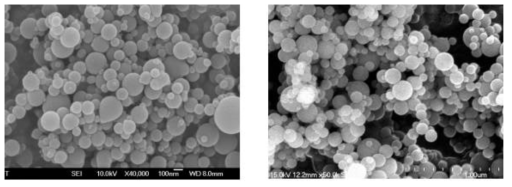 왼쪽 : 조건 1(760Torr), 오른쪽 : 조건 2(560Torr) SEM 사진