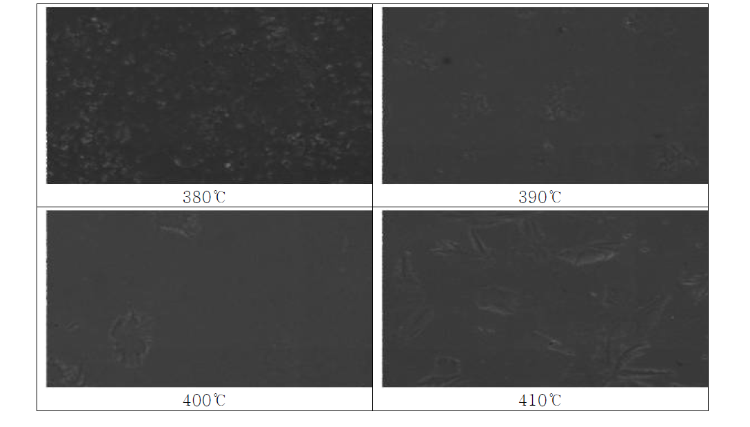 소성 온도별 SEM 표면 분석