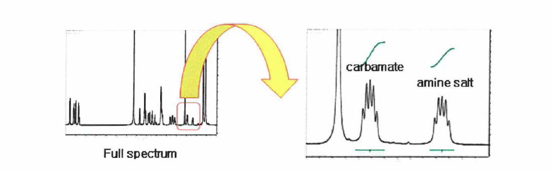 카바메이트와 아민염의 NMR을 이용한 비율결정 방법