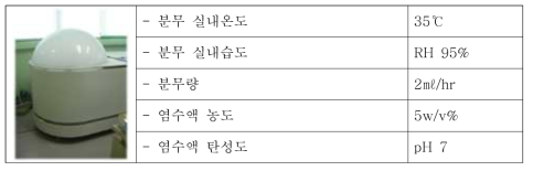 염수분무 시험조건