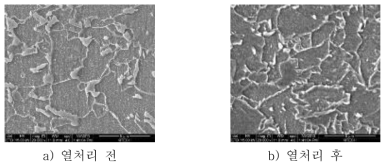 DUCTIBOR 500P 소재의 열처리 전·후 SEM 이미지
