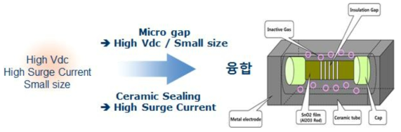 개발 개념도