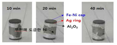 도금 시간에 따른 니켈이 도금된 세라믹 rod