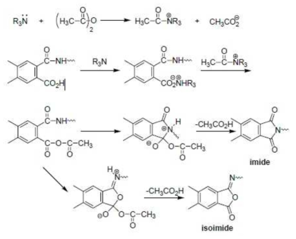 화학적 이미드화 메커니즘