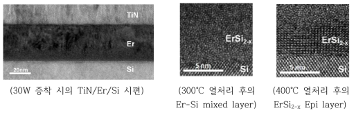 TiN/Er/Si Sample의 미세구조 분석결과