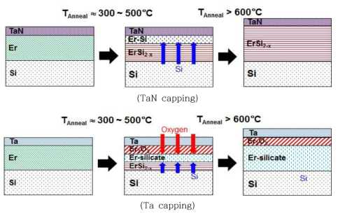 산화에 따른 Er-silicide 형성 Mechanism