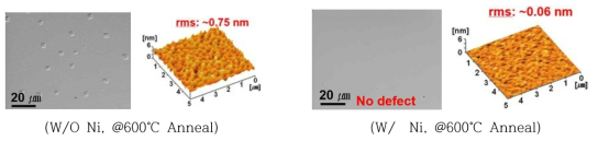 Er/Si과 Er/Ni/Si 시편의 열처리 온도에 따른 SAM과 AFM 분석결과