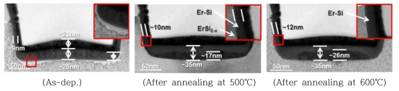 Trench pattern wafer 상에서의 Er-silicide 형성결과 (20nm Capping layer)