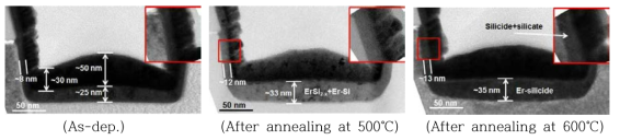 Trench pattern wafer 상에서의 Er-silicide 형성결과 (50nm Capping layer)