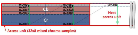 HPN access unit의 정의 (Chroma)