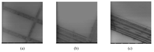 (a) Raster scan 방식으로 얻은 반도체 BEOL 시료 image, (b)와 (c)는 (a)의 16배 확대 이미지