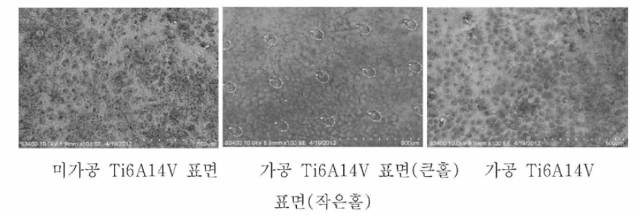 Microscopic pictures of MG-63 cells grown on Ti surface