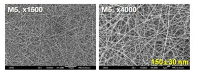 항온·항습시설 하에서 전기방사된 M5 나노웹의 SEM 사진 및 평균직경