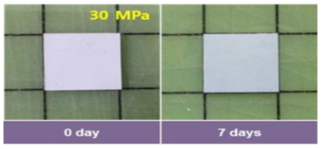 30 MPa로 hot-pressing한 M5 분리막의 장기 전해액 안정성 평가결과