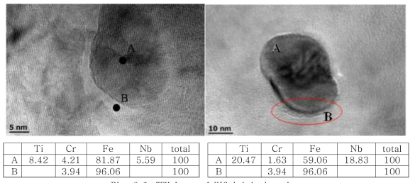 TEM Image of HIC initiation site