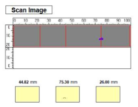 UT scanning image of HIC tested specimen