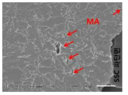 Crakcs at MA constituents nearby SSC fracture surface of steel B