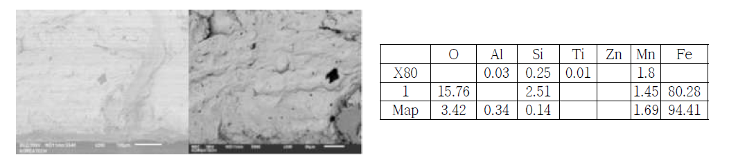 주사전자현미경으로 관찰한 HIC 분위기에 5일 장입된 X-80 강의 3w/4 위치의 초기 인장조건이 없는 HIC 파면의 개재물과 EDX 원소분석 결과
