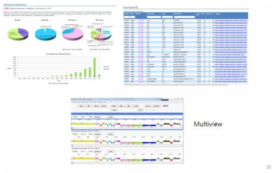 천랩이 구축한 Ezgenome database의 모습과 clgenomics에서 다수의 유전체를 비교 분석하는 모습