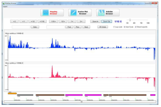 유전자 발현 양상을 살펴보는 CLRna-seq 전용 application 의 prototype 개발