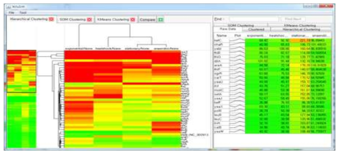 zoomable hierarchical viewer의 hierarchical clustering결과 시각화