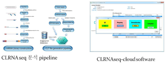 CLRNAseq 분석 pipeline과 CLRNAseq software 모습. Bacterial mRNA library construction pipeline과 이를 NGS sequencing 후 gene expression pattern을 분 석하는 pipeline을 setting 하였음. NGS를 통해 나온 raw data를 CLRNAseq cloud software를 통해 Gisys에 업로드 시키고, 구축된 분석 pipeline을 통해 QC, mapping, normalization, analysis 과정을 거쳐 CLT파일로 결과를 압축함. 이 결과 파일을 software 를 통해 다운 받아서 분석에 사용함