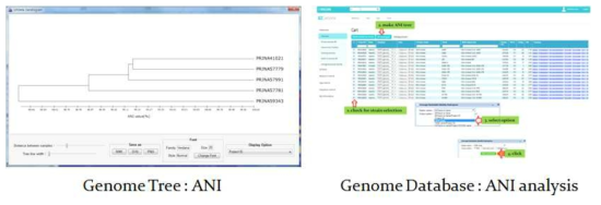 ANI analysis를 통하여 genome tree의 모습. ANI analysis을 통하여 genome sequence 간의 similarity를 구하고 이를 통하여 genome tree를 그리는 모듈을 탑재하였 다. 또한 ANI database를 구축하였고, web (www.ezbiocloud.net)에서 strain을 선택하여, genome tree를 그릴 수 있는 기능을 추가 개발하였음