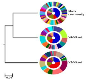 적합한 target hypervariable region을 설정하기 위한 분석 진행 결과