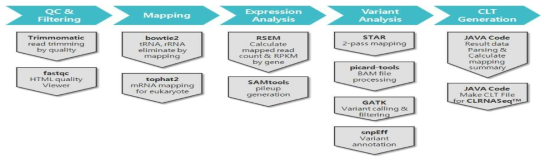 RNA-seq analysis pipeline