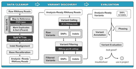 RNA-seq variant analysis workflow(GATK best practices)