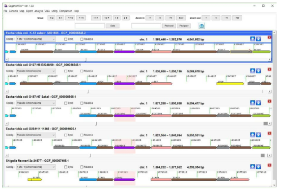 개발된 CLgenomics 1.5 version의 모습. 다수의 genome file을 열어서 서로 비교 분석 할 수 있게 개발되었으며, UI 개선, 및 비교 유전체 모듈을 고도화하였음