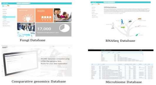 구축한 fungal-ITS database, RNASeq database, comparative genomics databse, microbiome databse의 모습