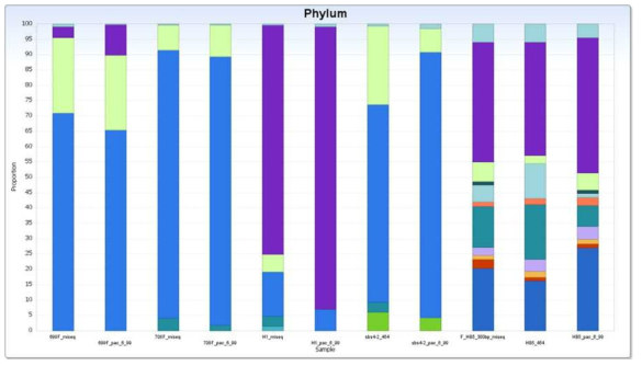 Miseq data와 454 data, PacBio data의 장내 미생물 군집 비교. Phylum level에서 총 5개의 샘플을 platform 별로 미생물 군집을 비교하는 모습임. platform 별로 약간의 차이는 있으나, 전체적인 pattern은 비슷한 것으로 판단됨