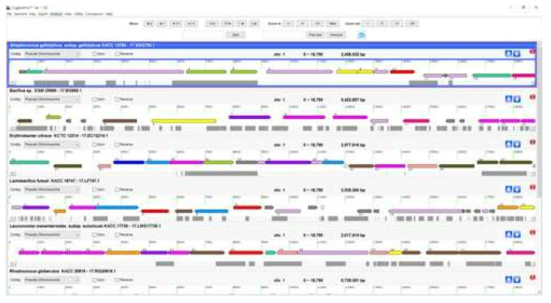 구축한 미생물 유전체 분석 소프트웨어인 CLgenomics를 통해서 생산한 genome data를 확인 하고 분석하는 모습. 30개의 type strain의 genome data를 생산하여 genome DB를 확충할 뿐만 아니라 genome 분석 시스템을 validation하였음