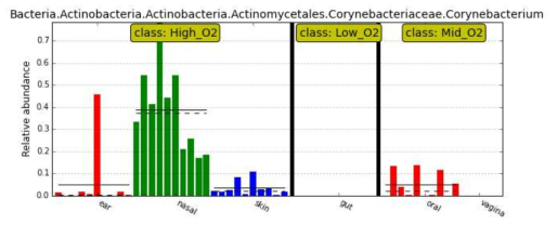 Corynebacterum 종에 대한 relative abundance를 산소량으로 구분지어 나타낸 plot. 하나의 bar는 하나의 샘플을 나타냄