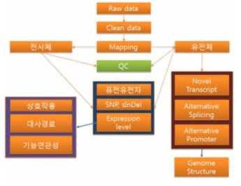 RNA-seq 분석 과정