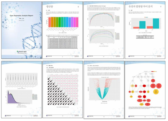 RNA-seq 분석 결과 레포트 예시