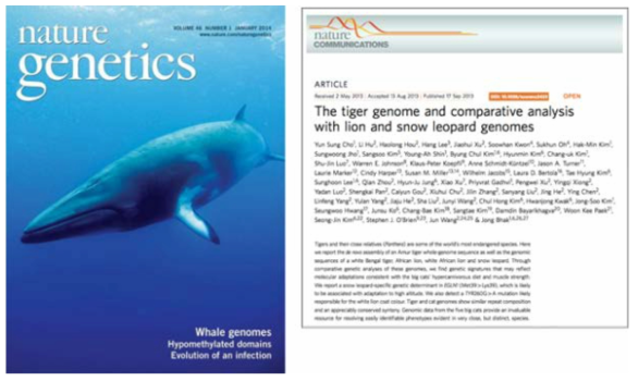 선도 게놈 조립 및 유전자 주석 달기 기술을 이용해 세계 최초로 분석한 밍크고래와 한국 호랑이 유전체 논문