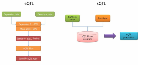 eQTL, sQTL 분석 파이프라인