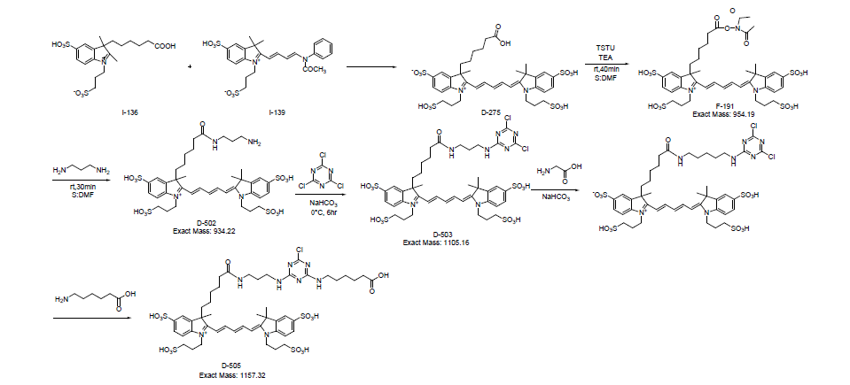 시아닌(Cyanine) 구조 도입 개질 기술로 개발된 SFD 647 NHS ester