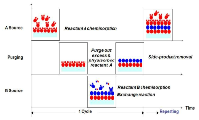 Schematic of atomic layer deposition process