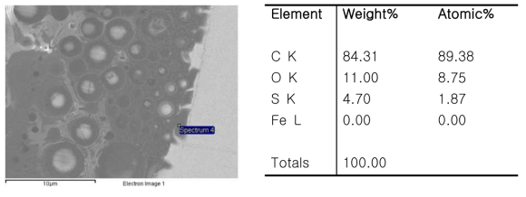 SEM image and EDX result of invar surface with pollution